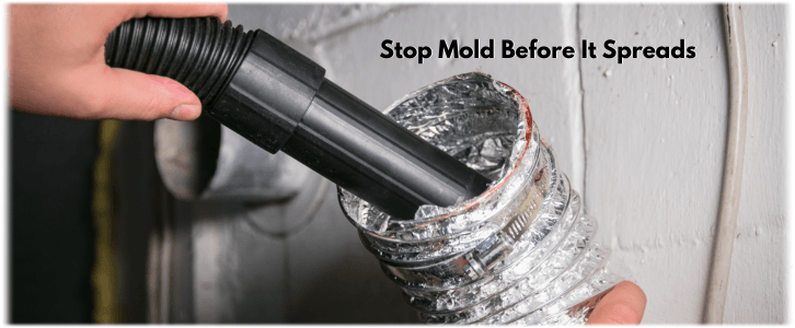 Air Duct Mold Removal in The Woodlands
