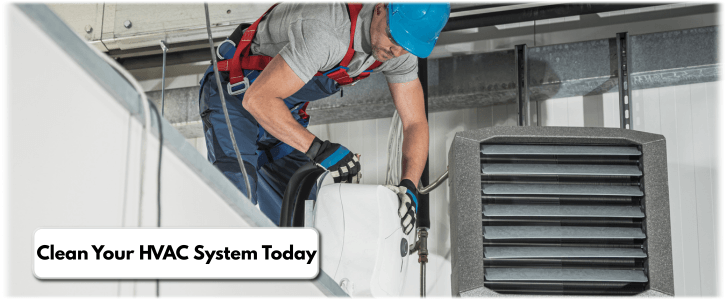 HVAC Mold Removal The Woodlands